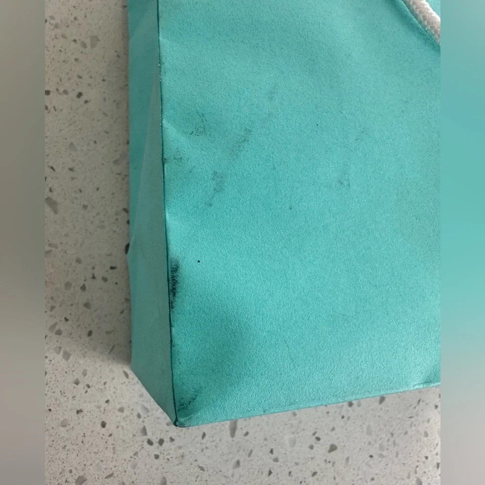 Tiffany Paper Bag 10x8
